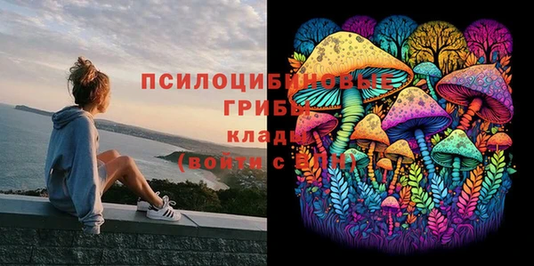 Альфа ПВП Чита